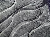 Natural Abstract_DSCF03439